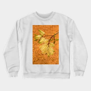 Grevillea 2 Crewneck Sweatshirt